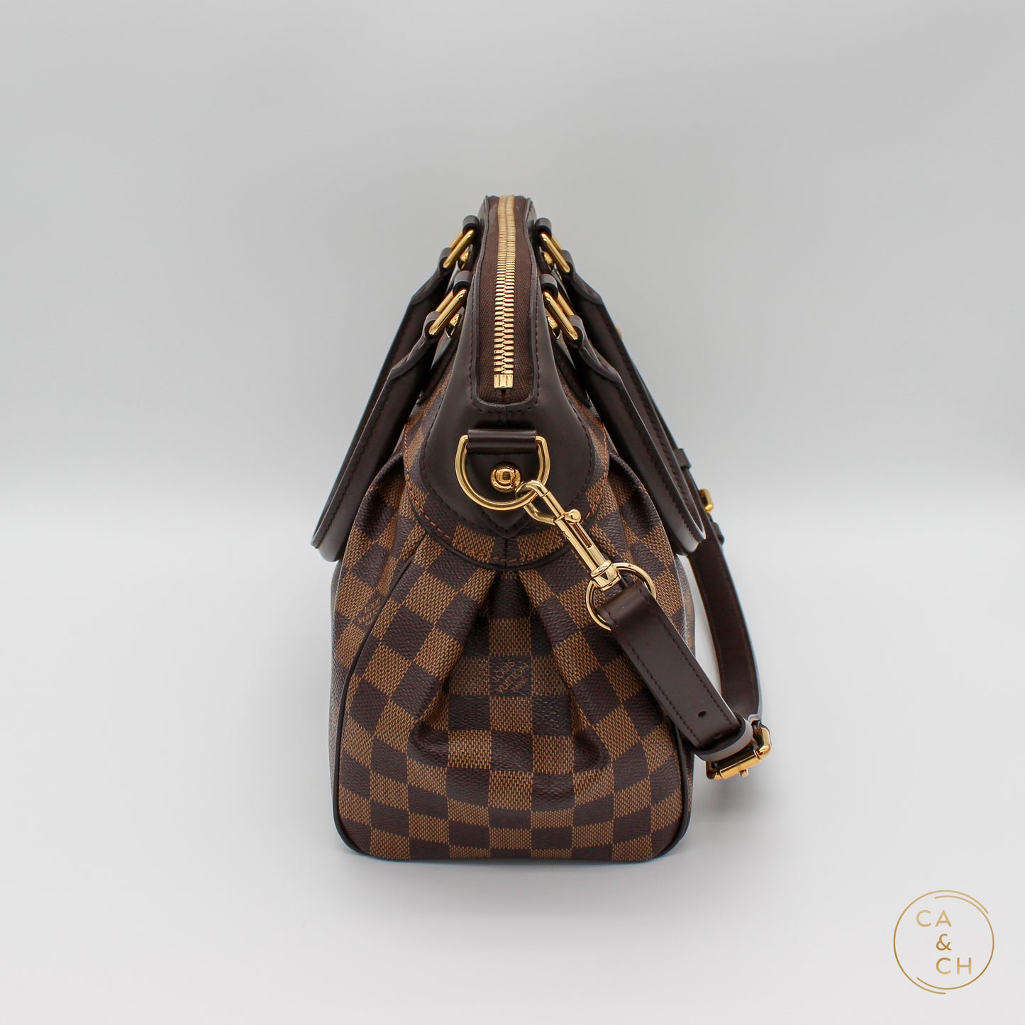Louis Vuitton Trevi PM in Damier Ebene Canvas with Gold Hardware