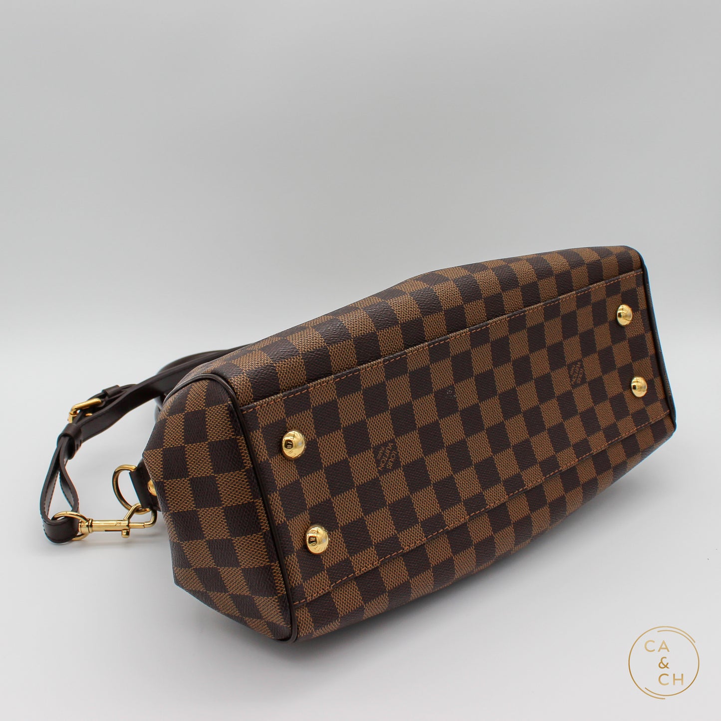 Louis Vuitton Trevi PM in Damier Ebene Canvas with Gold Hardware